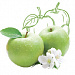 Pyrus Malus (Apple) Fruit Extract (экстракт яблока)