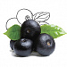 Euterpe Oleracea (Acai) Fruit Extract (экстракт асайя)